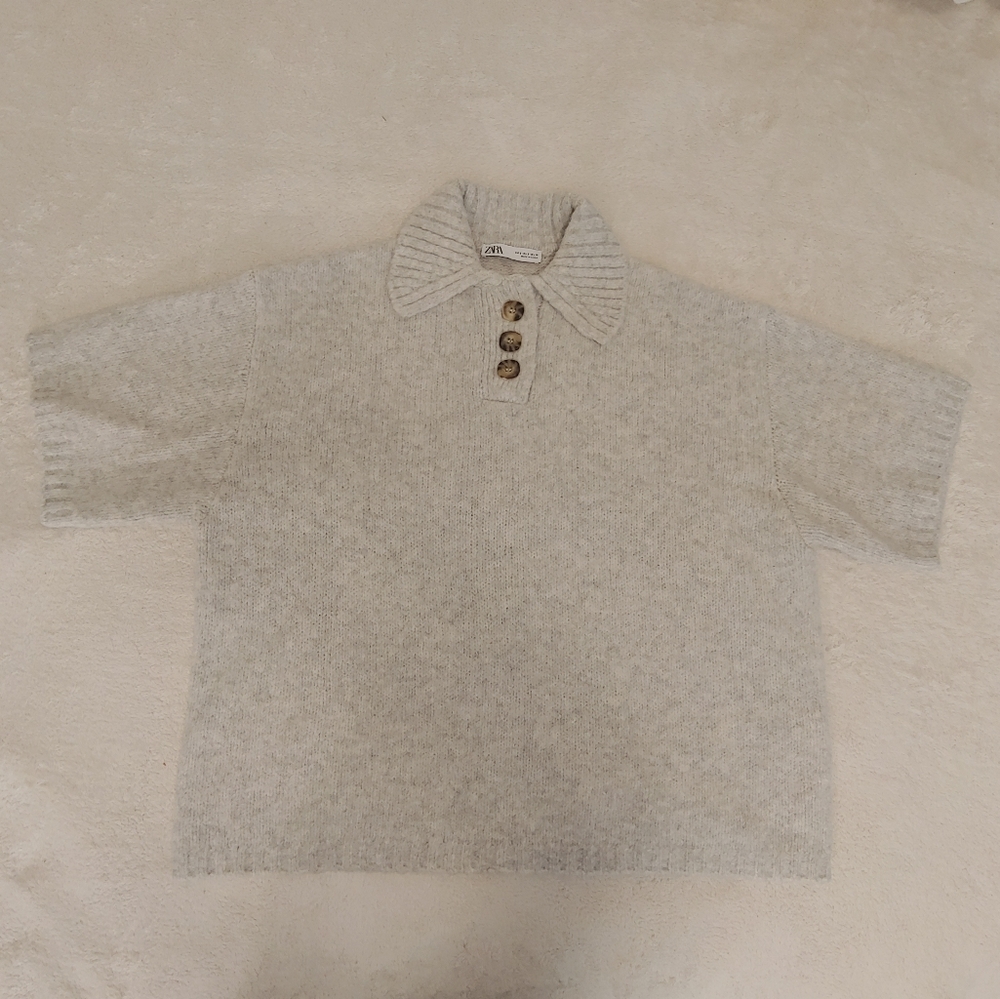 Zara shoet sleeve sweater